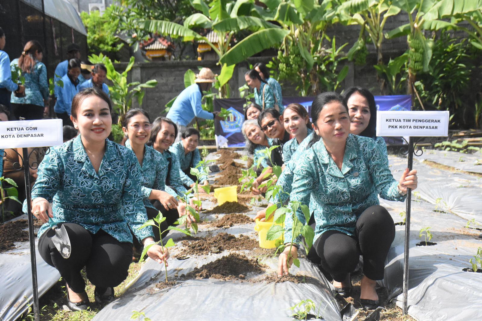 HKG PKK Ke-52, TP PKK Kota Denpasar Tanam Pohon Cabai